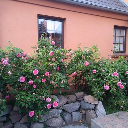 Dorfidyll Wendisch Priborn Apartment Exterior foto