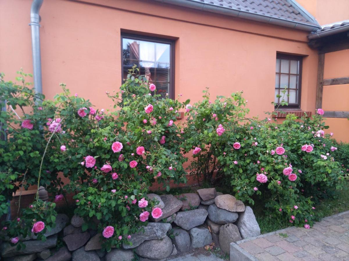 Dorfidyll Wendisch Priborn Apartment Exterior foto